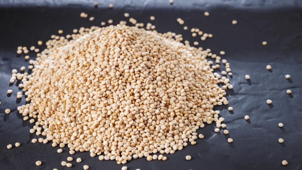 What Is Molecular Sieve? Types, How It Works, and Industrial Uses